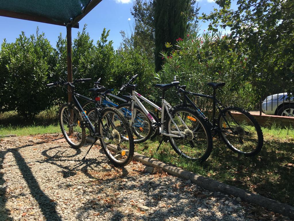 Agriturismi Farina Castiglione del Lago Zewnętrze zdjęcie