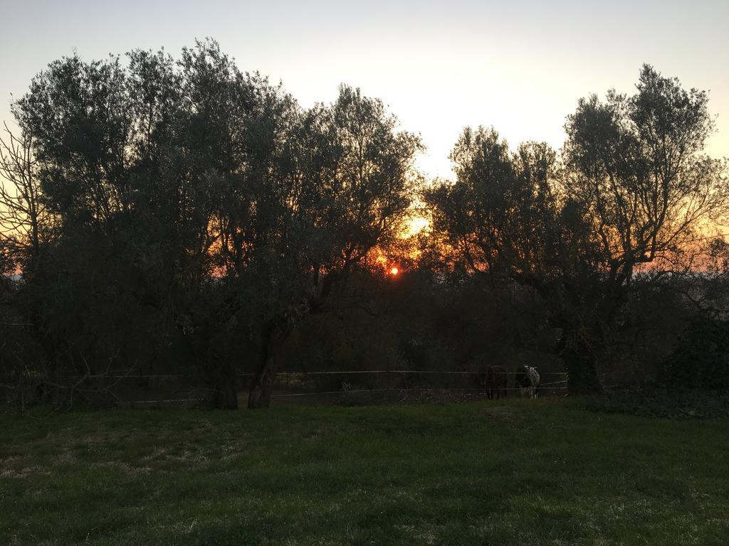 Agriturismi Farina Castiglione del Lago Zewnętrze zdjęcie