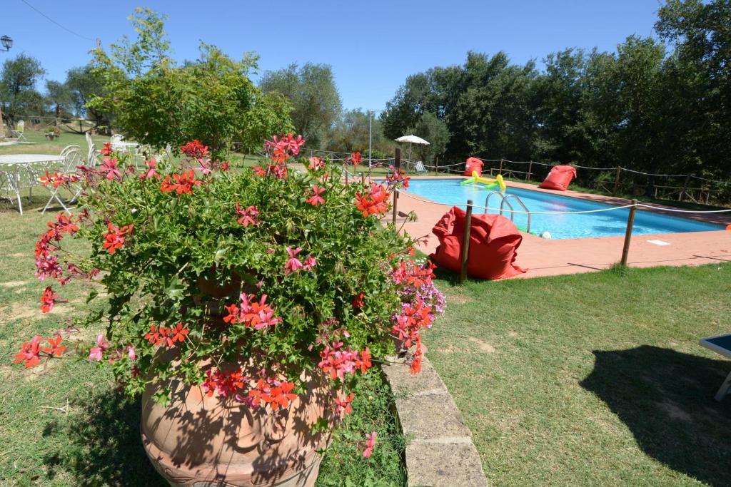 Agriturismi Farina Castiglione del Lago Zewnętrze zdjęcie