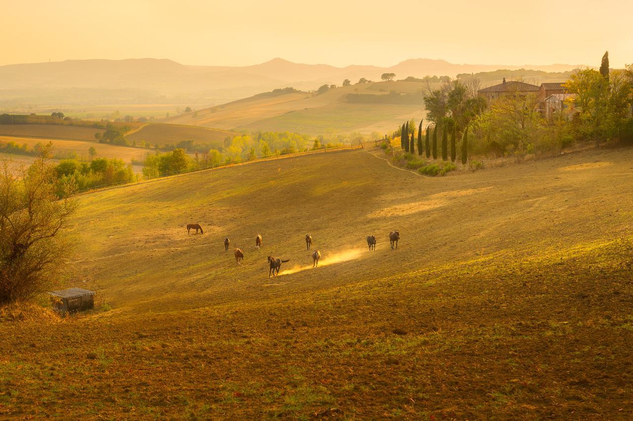 Agriturismi Farina Castiglione del Lago Zewnętrze zdjęcie